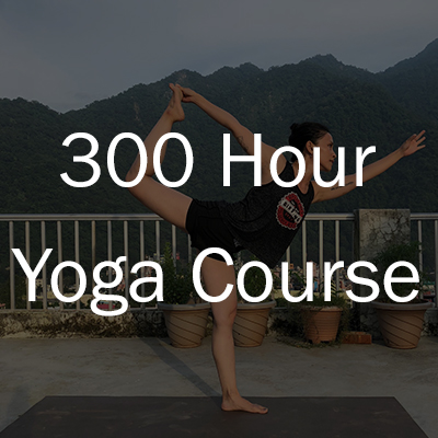 300 Hour Yoga Teacher Training