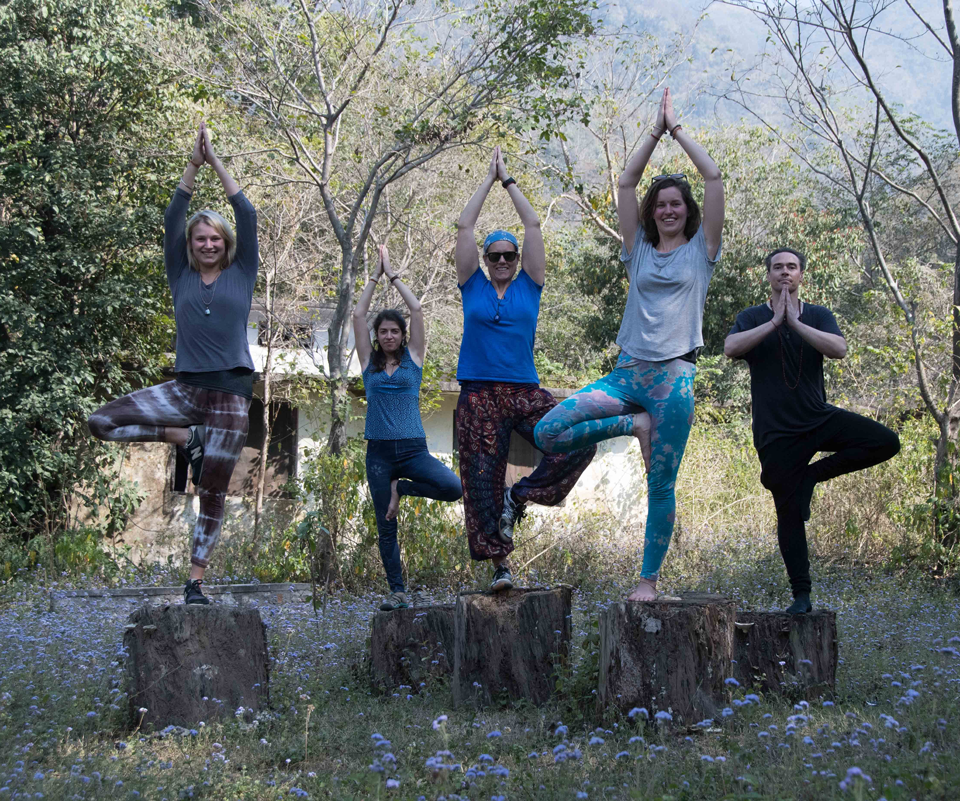 Yoga teacher Training in India