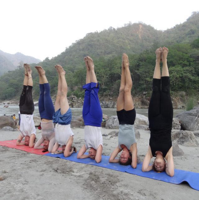 200 Hour Yoga Teacher Training India