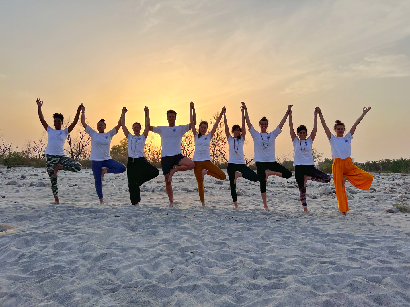 Yoga Teacher Training at Yoga India Foundation