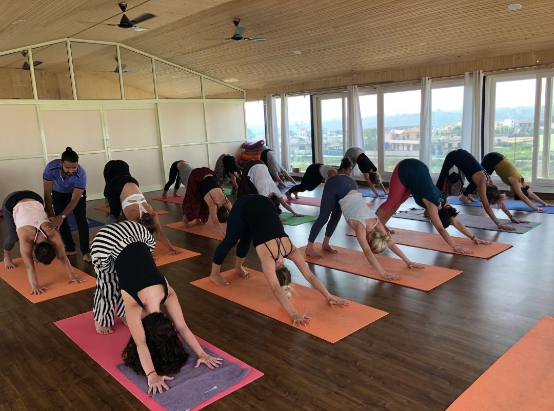 200 hour online yoga teacher training