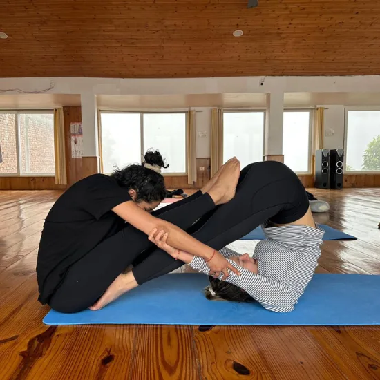 yoga student practicing asana together