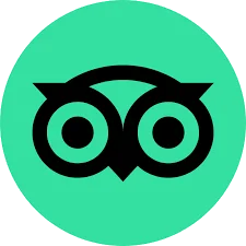 TripAdvisor Reviews